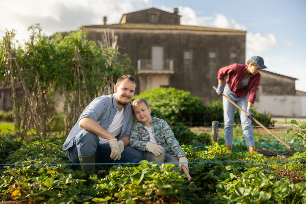Man farmer with his son in a garden with a strawberry
