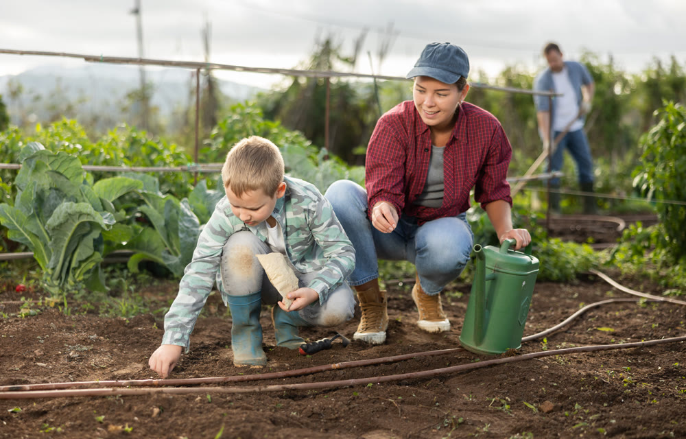 Young woman with boy planting seeds in field