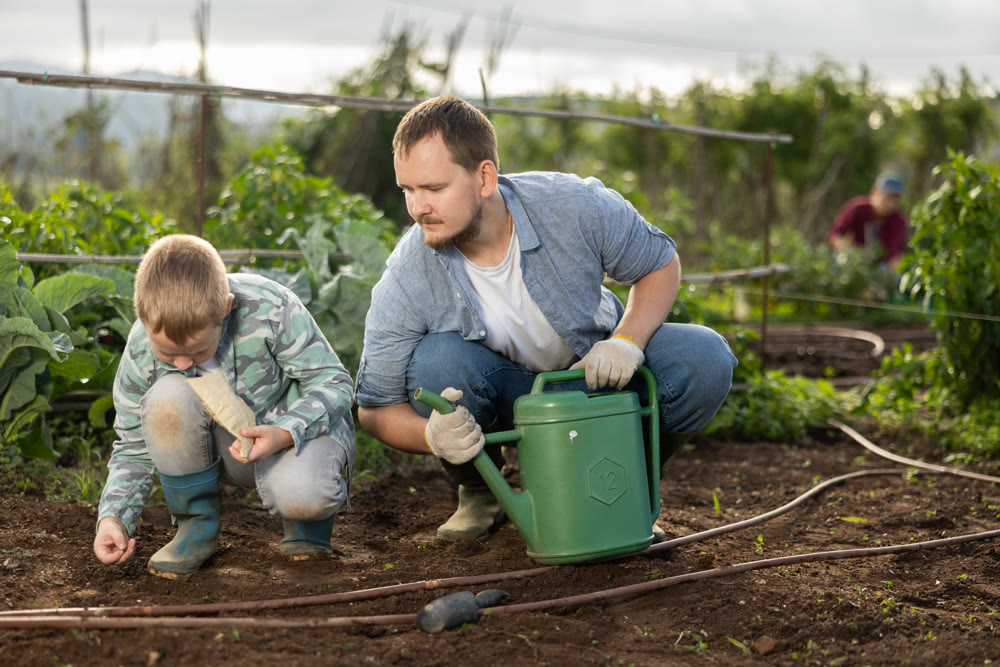 Young man with boy planting seeds in field