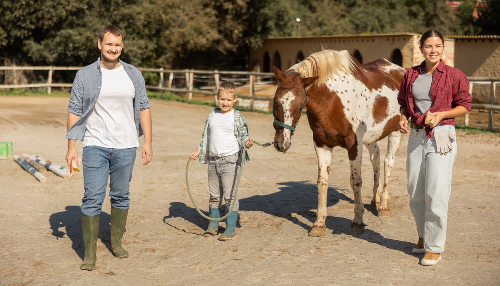 Boy leads horse by leash in paddock