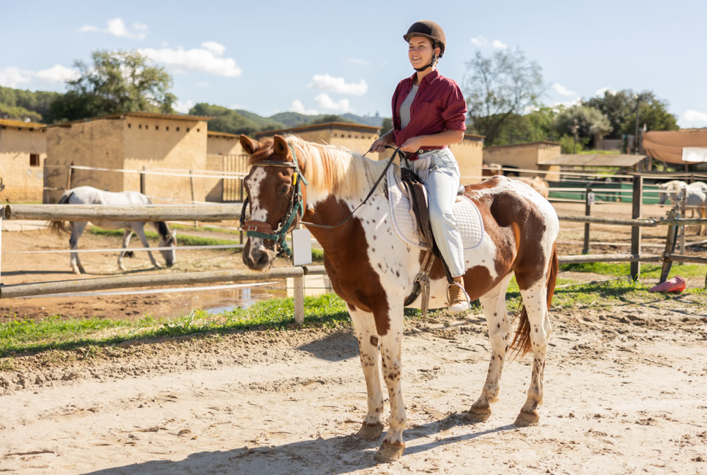 Portrait of jockey girl on horse on territory of horse farm