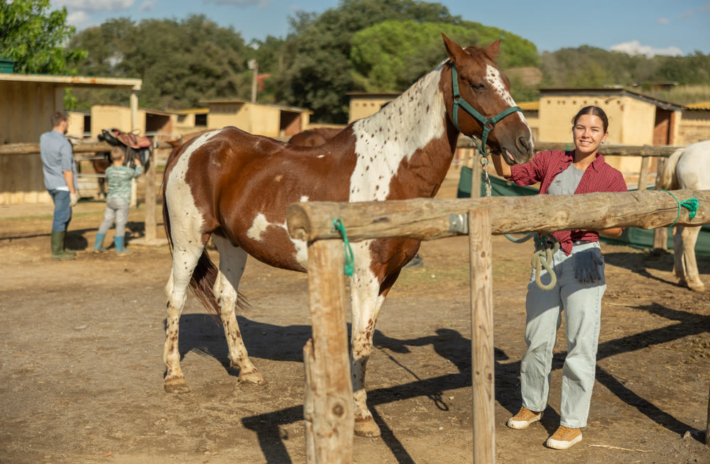 Happy young girl preparing horse for riding and walking in pasture on farm