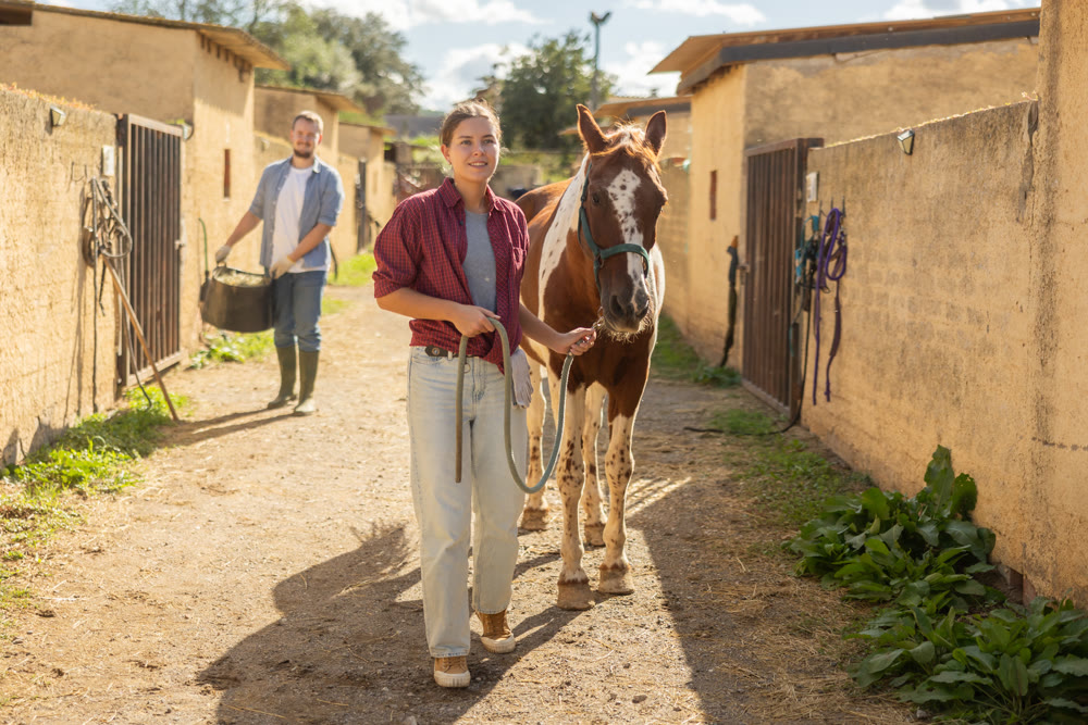 Young woman leading horse to feed