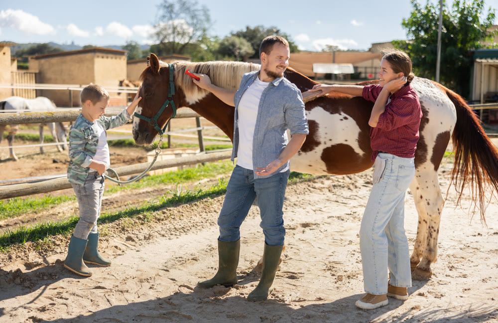 Family with child taking care of horse in pasture of horse farm