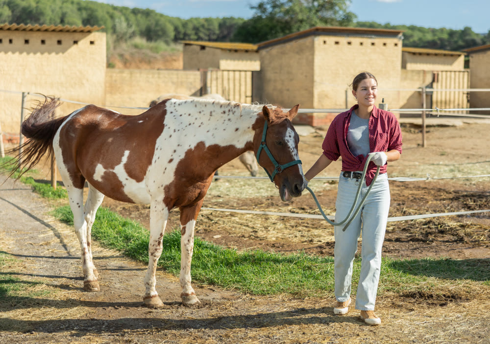 Happy young girl preparing horse for riding and walking in pasture on farm