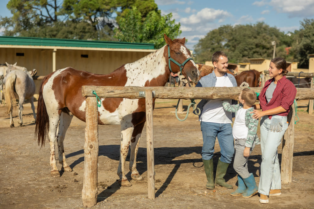 Man, woman and boy with horse at hitching post