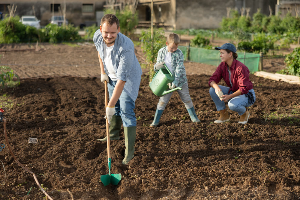 Man weeding beds woman planting seeds boy watering