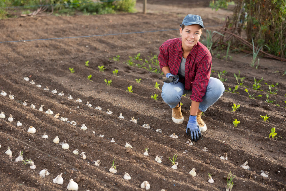Young woman planting seeds in field