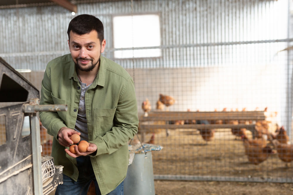 Young bearded farmer collecting eggs in chicken coop