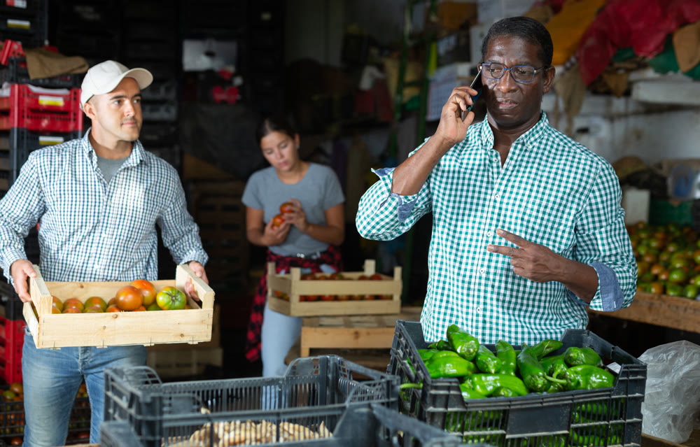 African american farmer using phone while working in vegetable warehouse