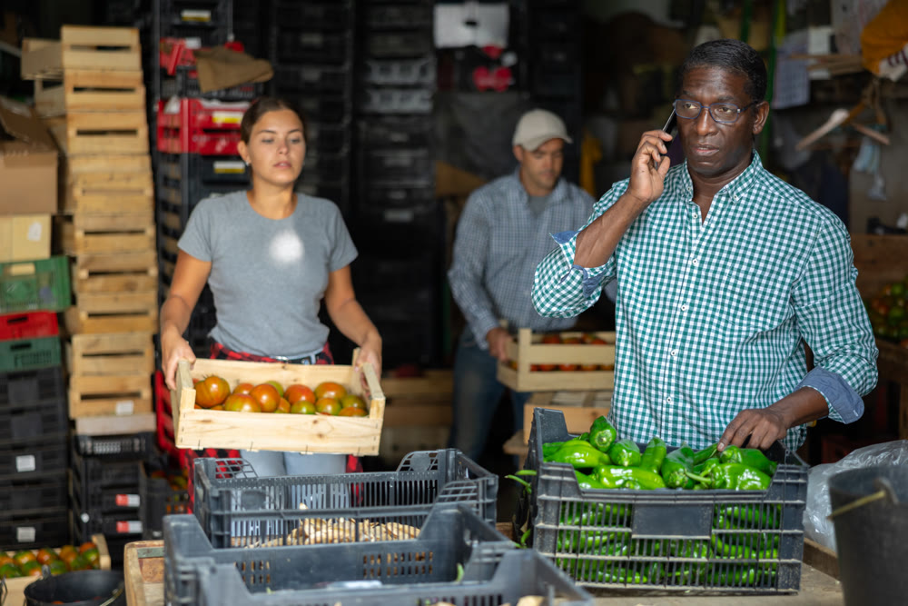 African american farmer using smartphone while working in vegetables sorting warehouse