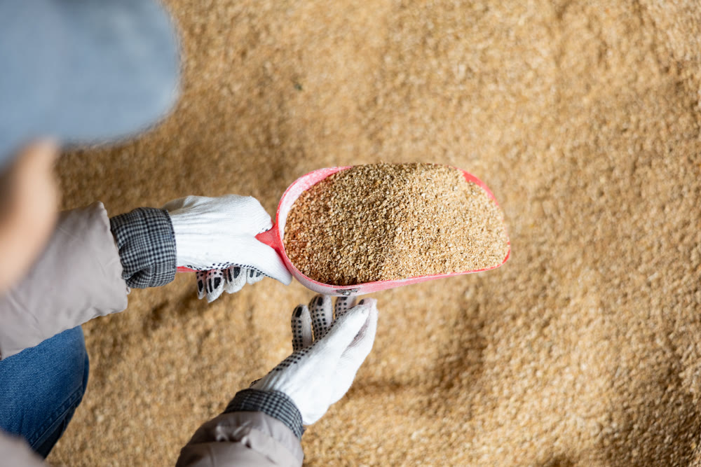 Young woman using a scoop to collect soy husks in an animal feed warehouse