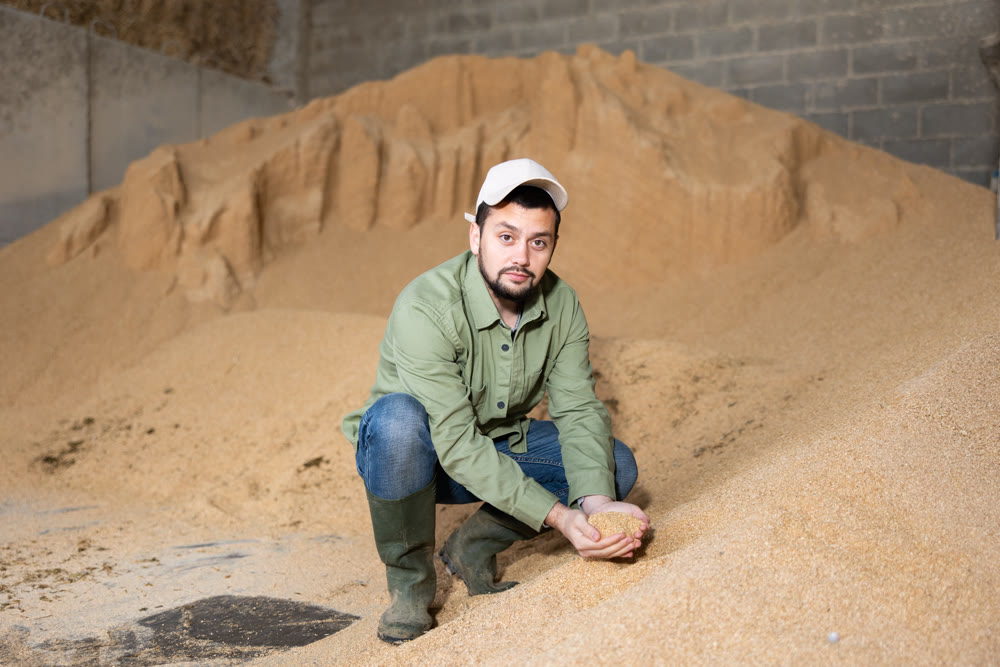 Man farmer checking quality of soybean husk