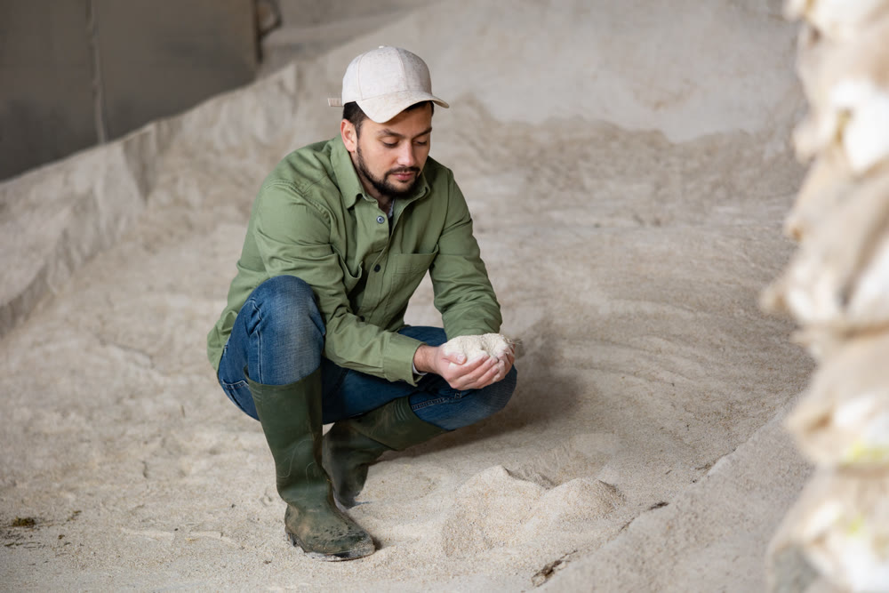 Male farmer checks the quality of cornmeal in an animal feed warehouse