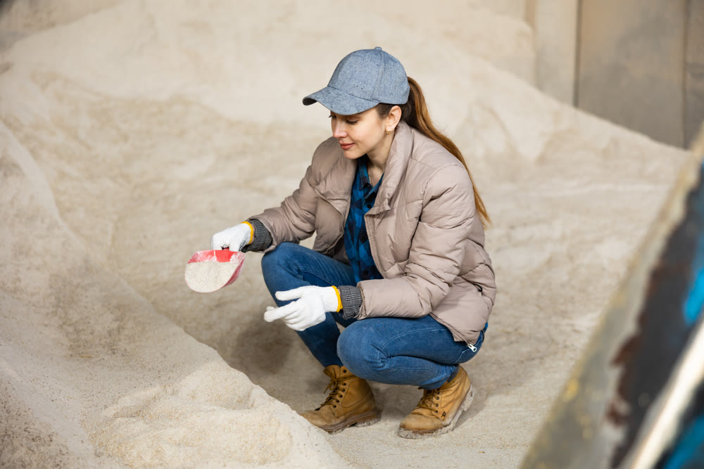 Female farmer scooping maize meal for livestock feed in farm storage