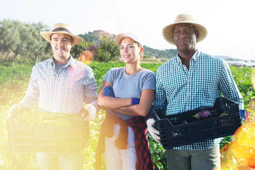 Group photo of three positive farmers on field
