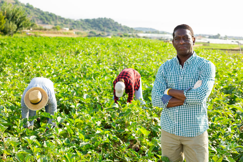 Portrait of confident farm owner in front of his farm on sunny summer day