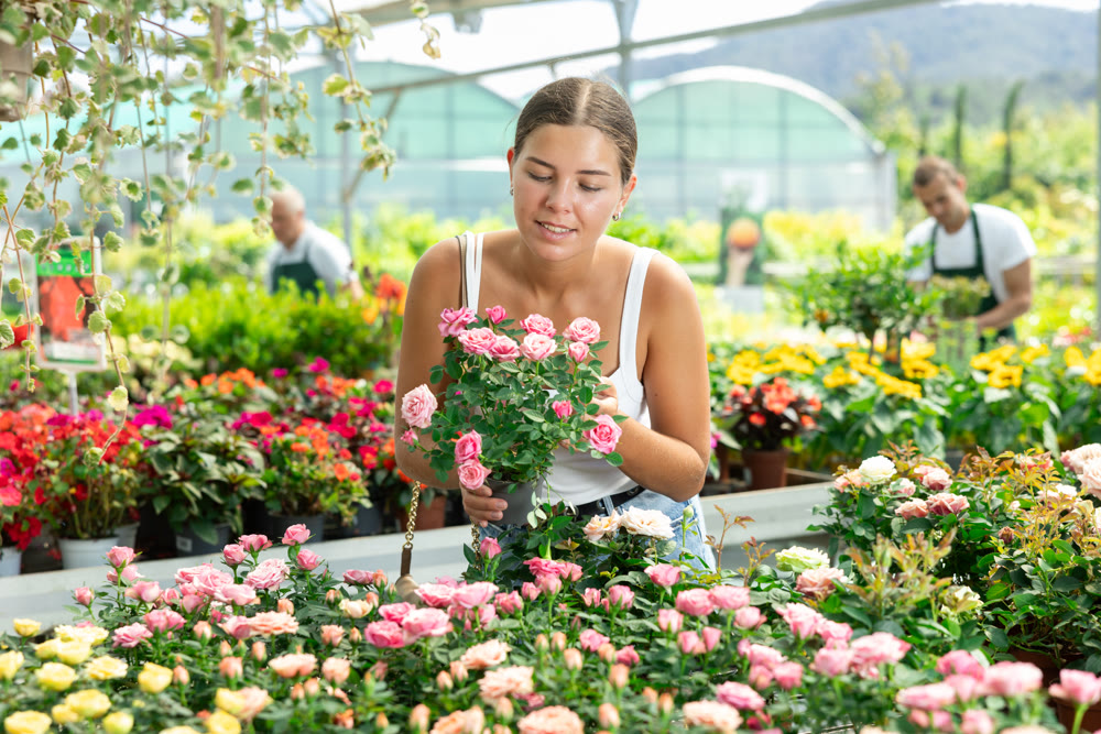 Young woman choosing bush roses in flower shop