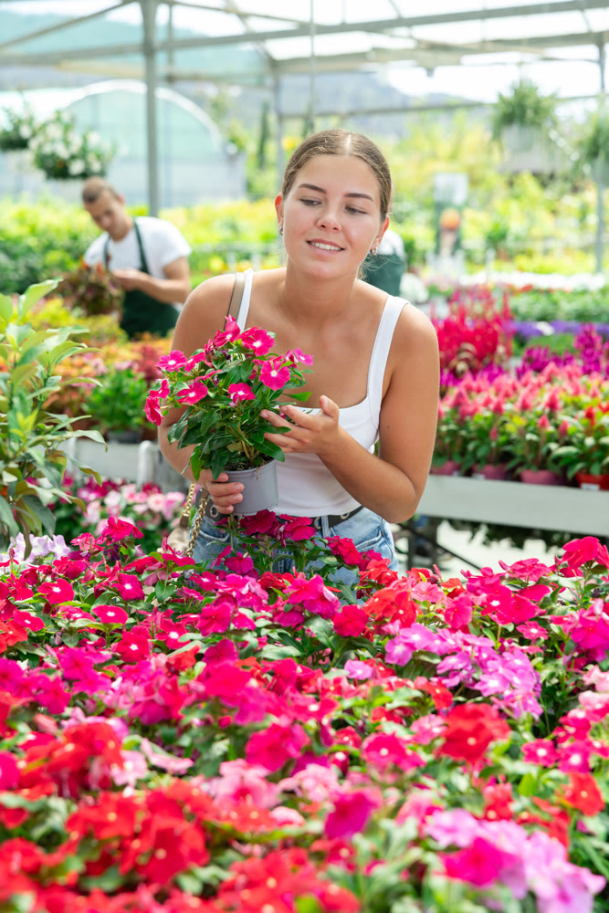 Girl walks through exhibition of ornamental plants, examines vinca in showcase