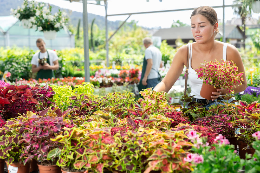 Girl walks through exhibition of ornamental plants, examines coleus in showcase