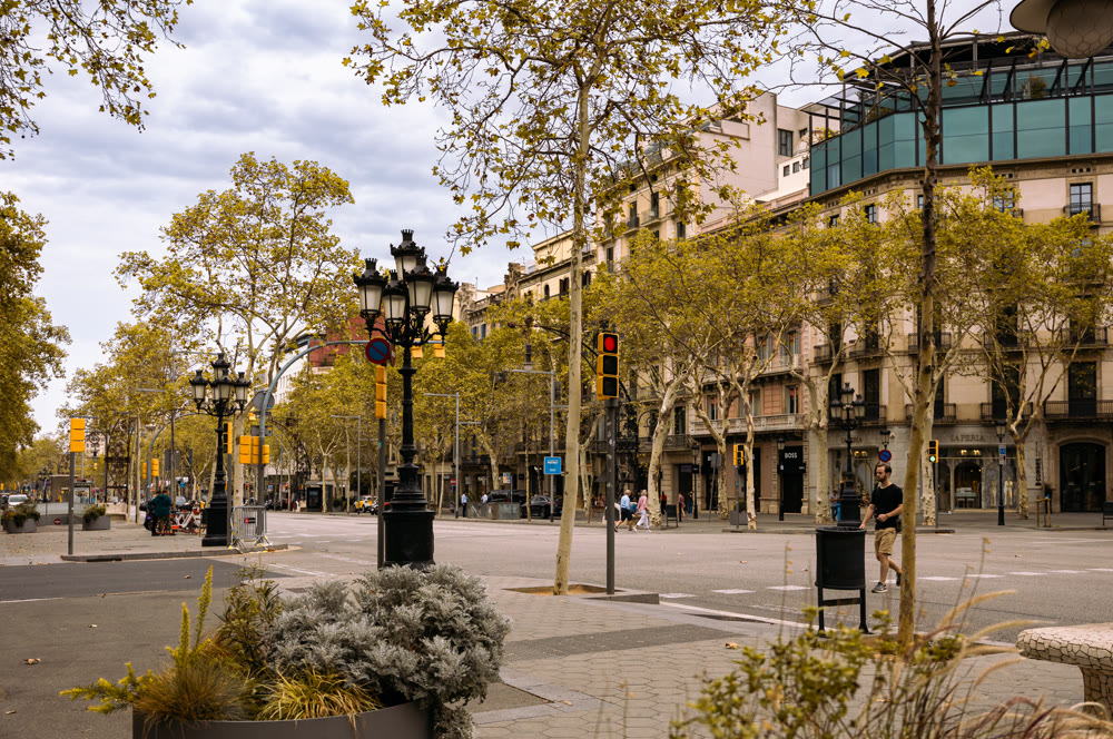 Barcelona, Spain - September 03, 2023: Picturesque avenue Paseo de Gracia in center of Barcelona in autumn in Eixample district