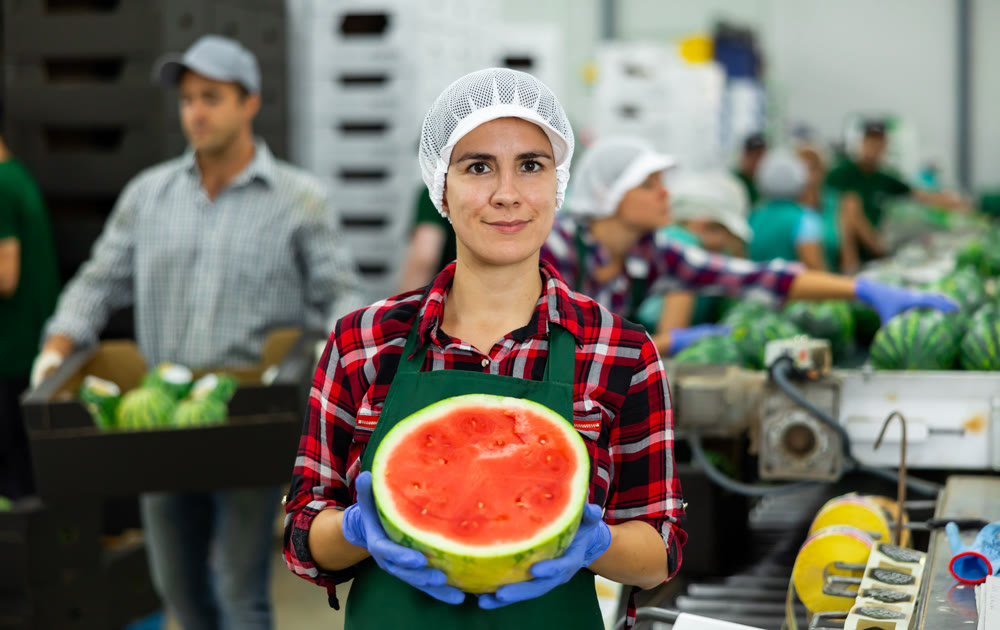 Cheerful woman fruit factory worker with half of ripe watermelon