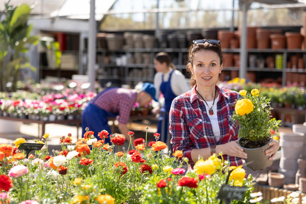 Before buying, woman examines flower of begonia at flowers market