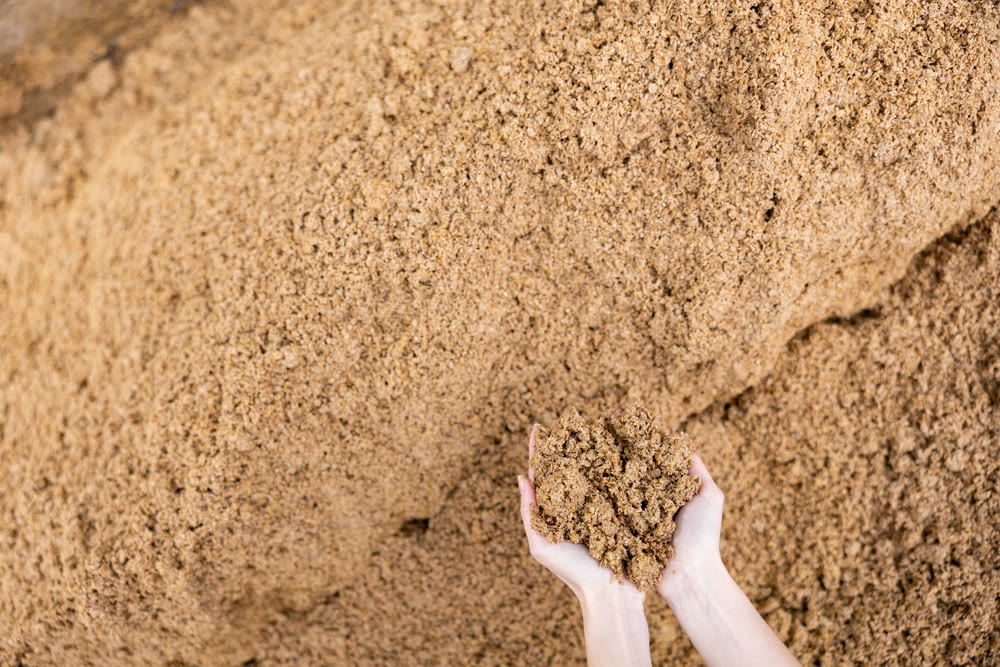 Closeup of beer bagasse in female hands