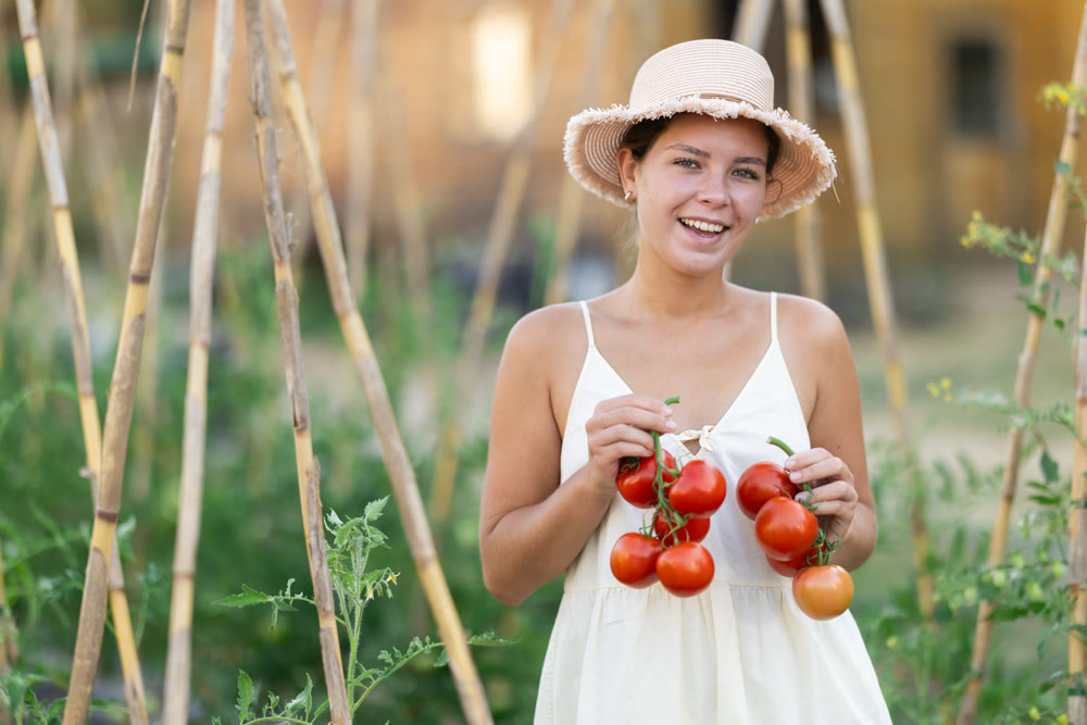 Young woman with tomato harvest in cottage garden