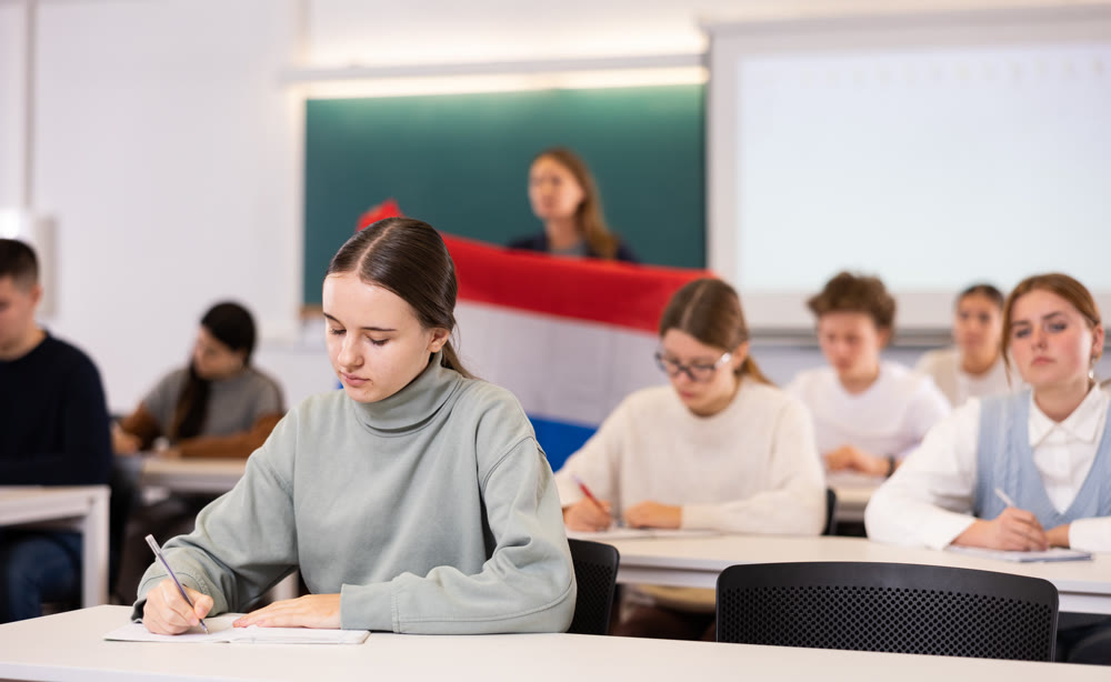 Young girl student diligently studies at school