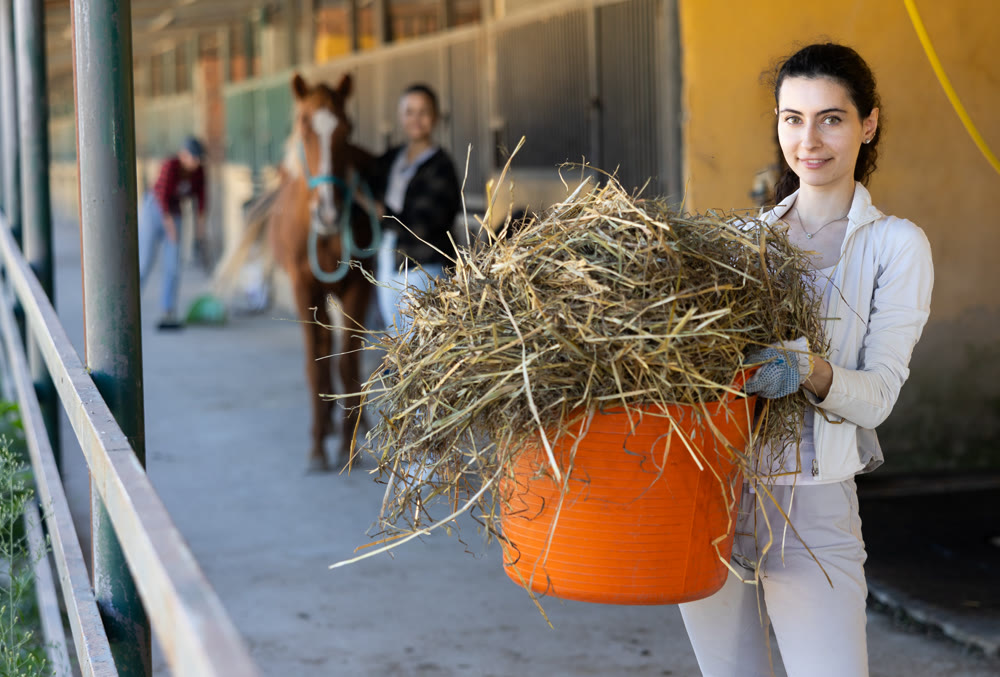 Young woman with bucket of hay in stable