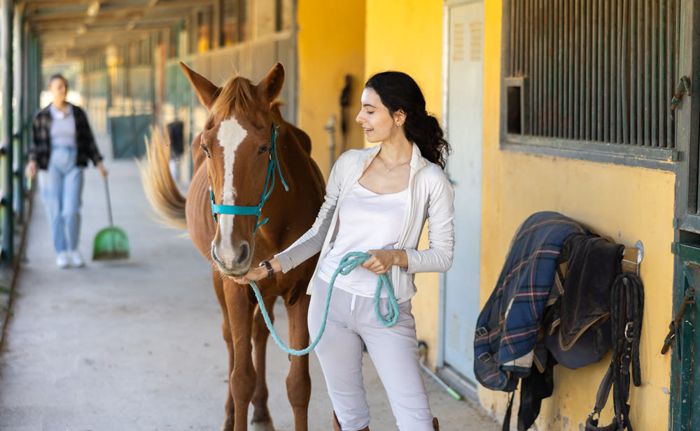 Armenian female worker takes horse out of stall, holds animal by bridle and leads pet for walk