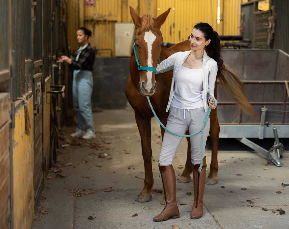 Armenian female worker takes horse out of stall, holds animal by bridle and leads pet for walk