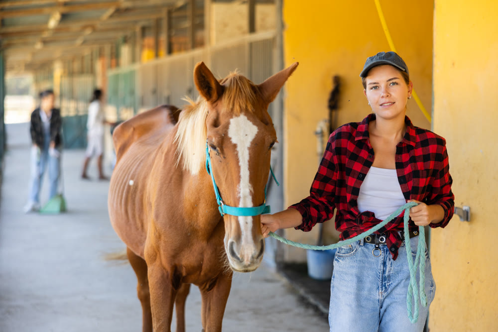 Positive female worker takes horse out of stall, holds animal by bridle and leads pet for walk