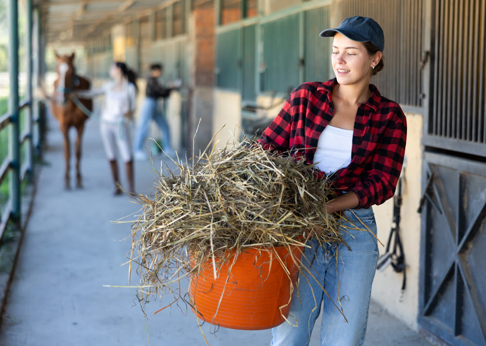 European young female worker walks go through corridor of stable, carrying basket with straw