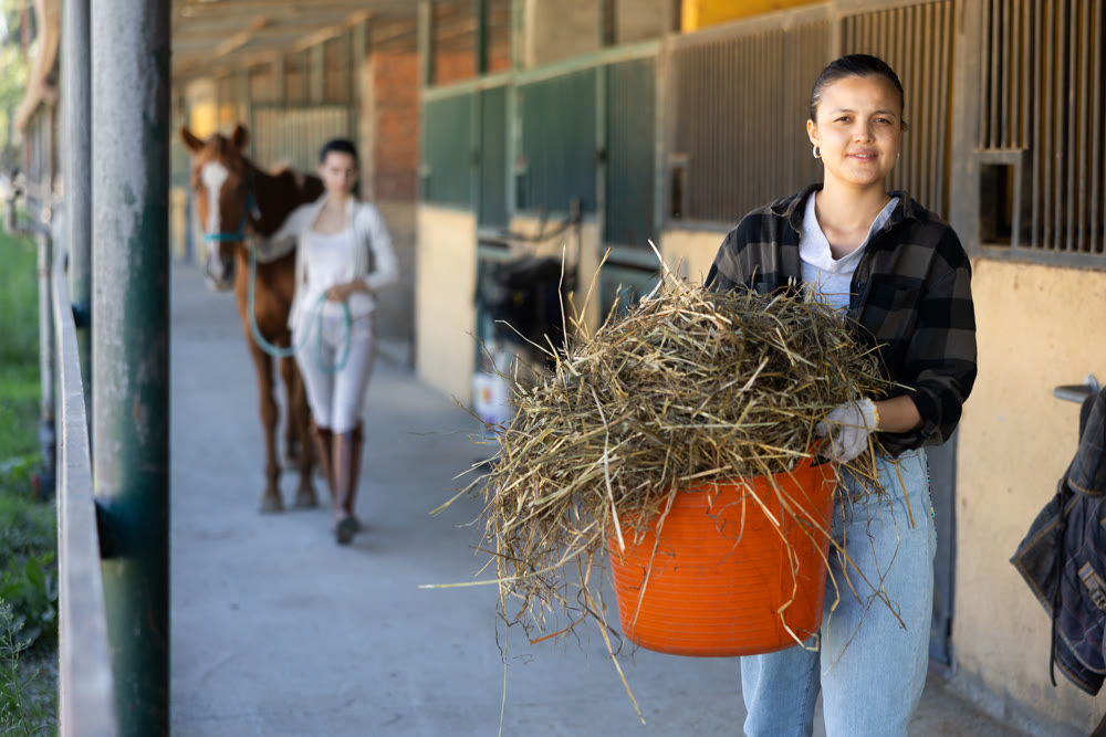 Asian young female worker walks go through corridor of stable, carrying basket with hay