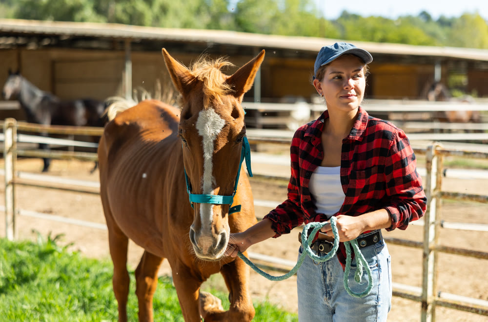 Positive girl, owner of horse, walks pet outdoor in paddock