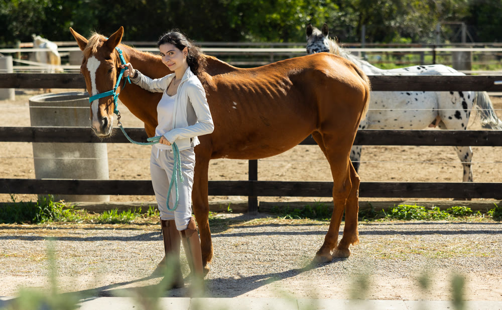 Armenian girl, owner of horse, walks pet outdoor in paddock