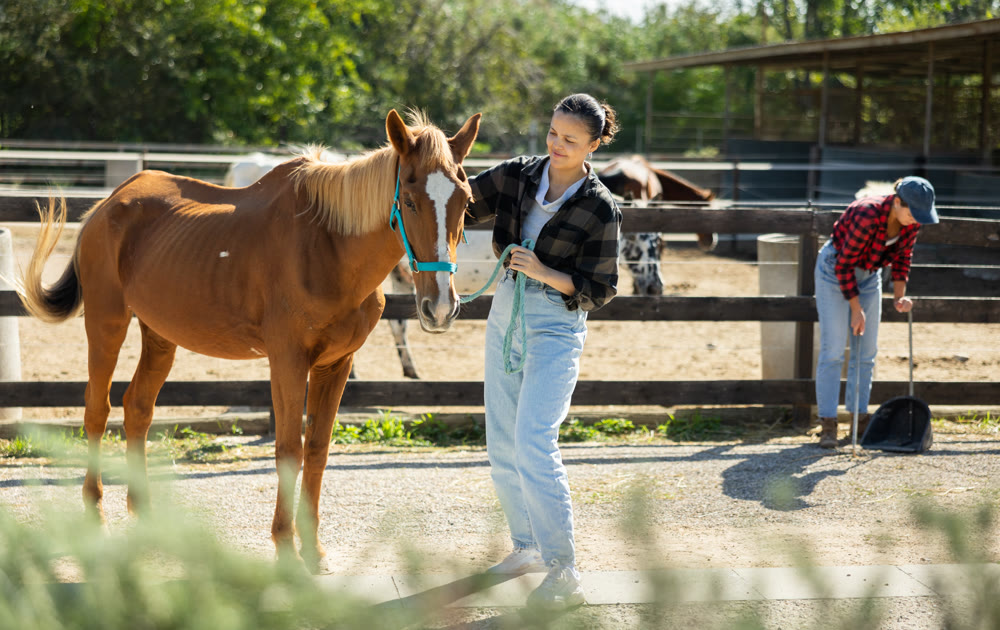 Young woman with horse in horse paddock