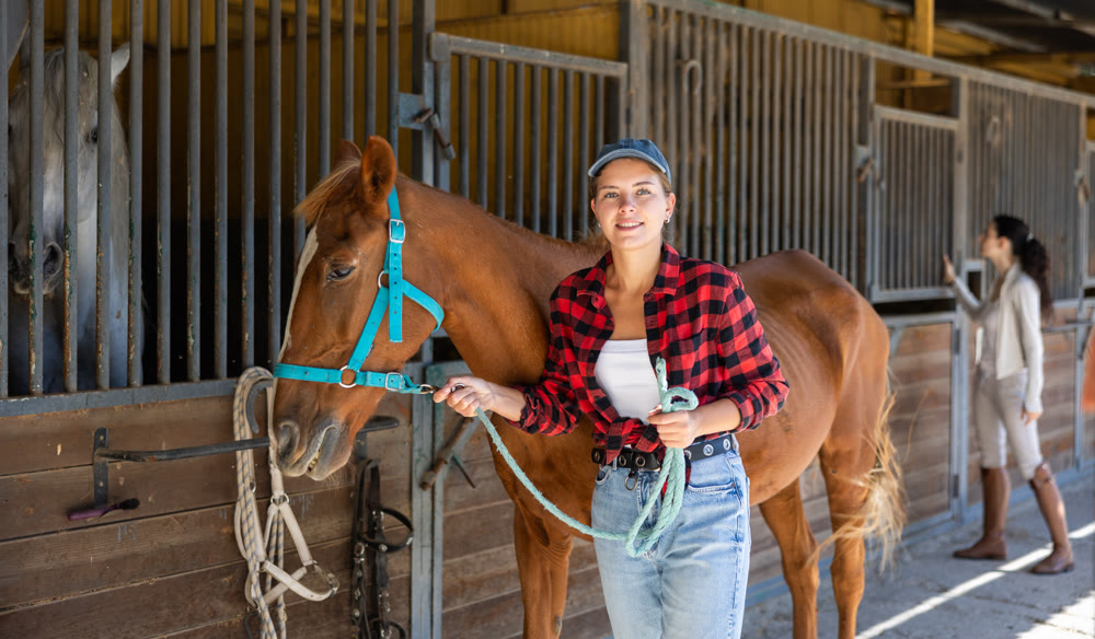 Positive female worker takes horse out of stall, holds animal by bridle and leads pet for walk