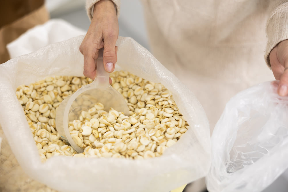 Unrecognizable buyer or seller takes out portion of maize grains from bag